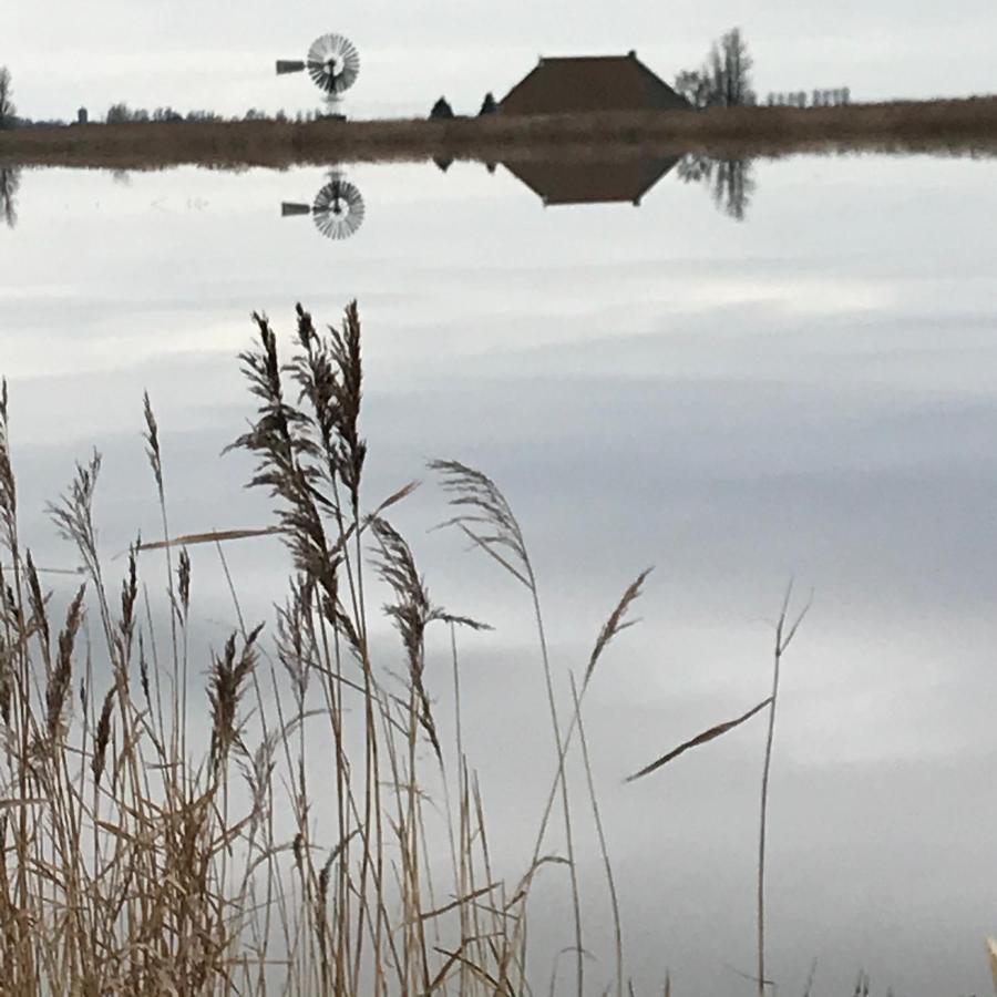 Genieten In Een Luxe Vakantiewoning, Dichtbij Het Ijsselmeer En Strand Villa Warns Exterior foto